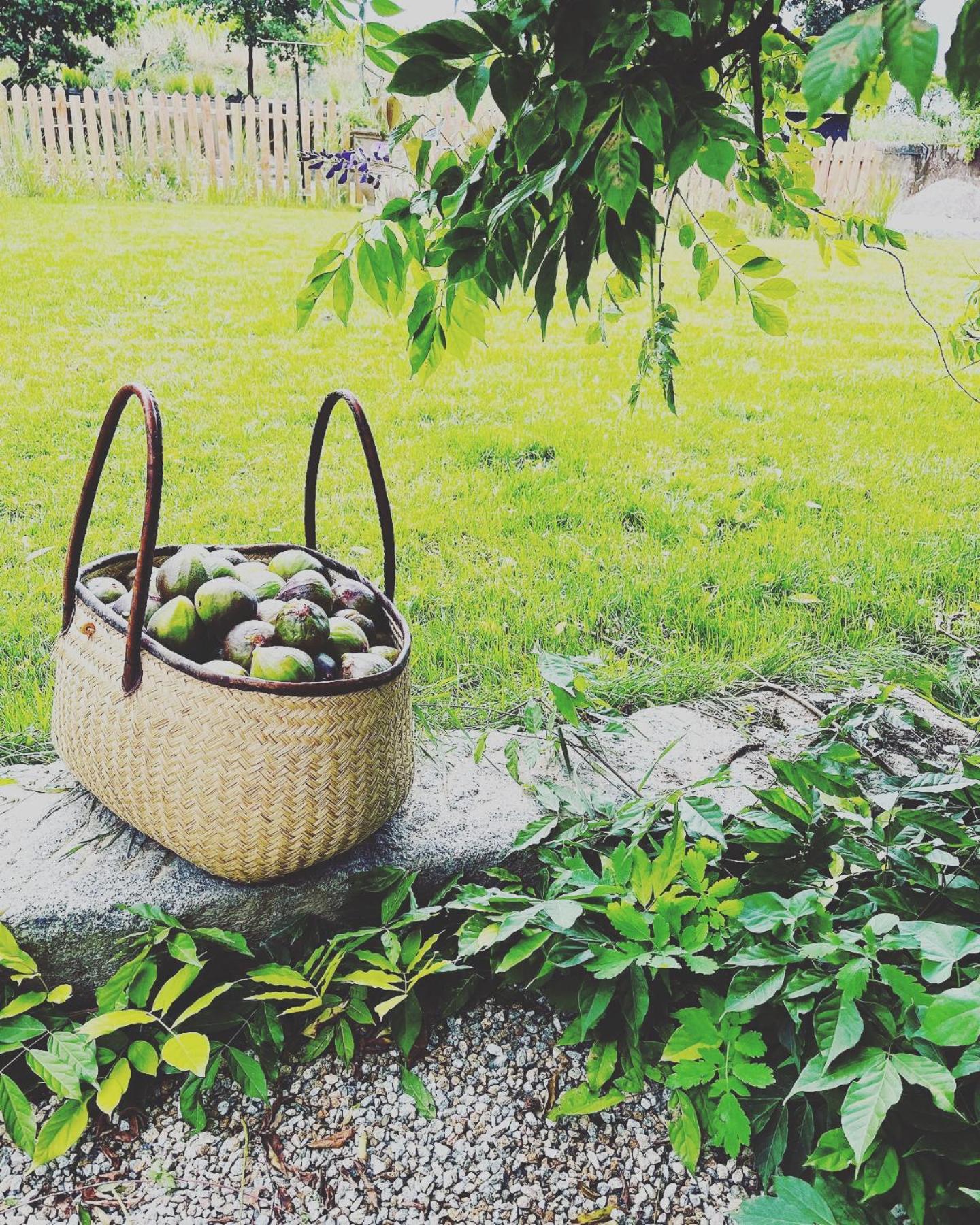 Domaine Du Tertre Ychot Hotell Dol-de-Bretagne Eksteriør bilde