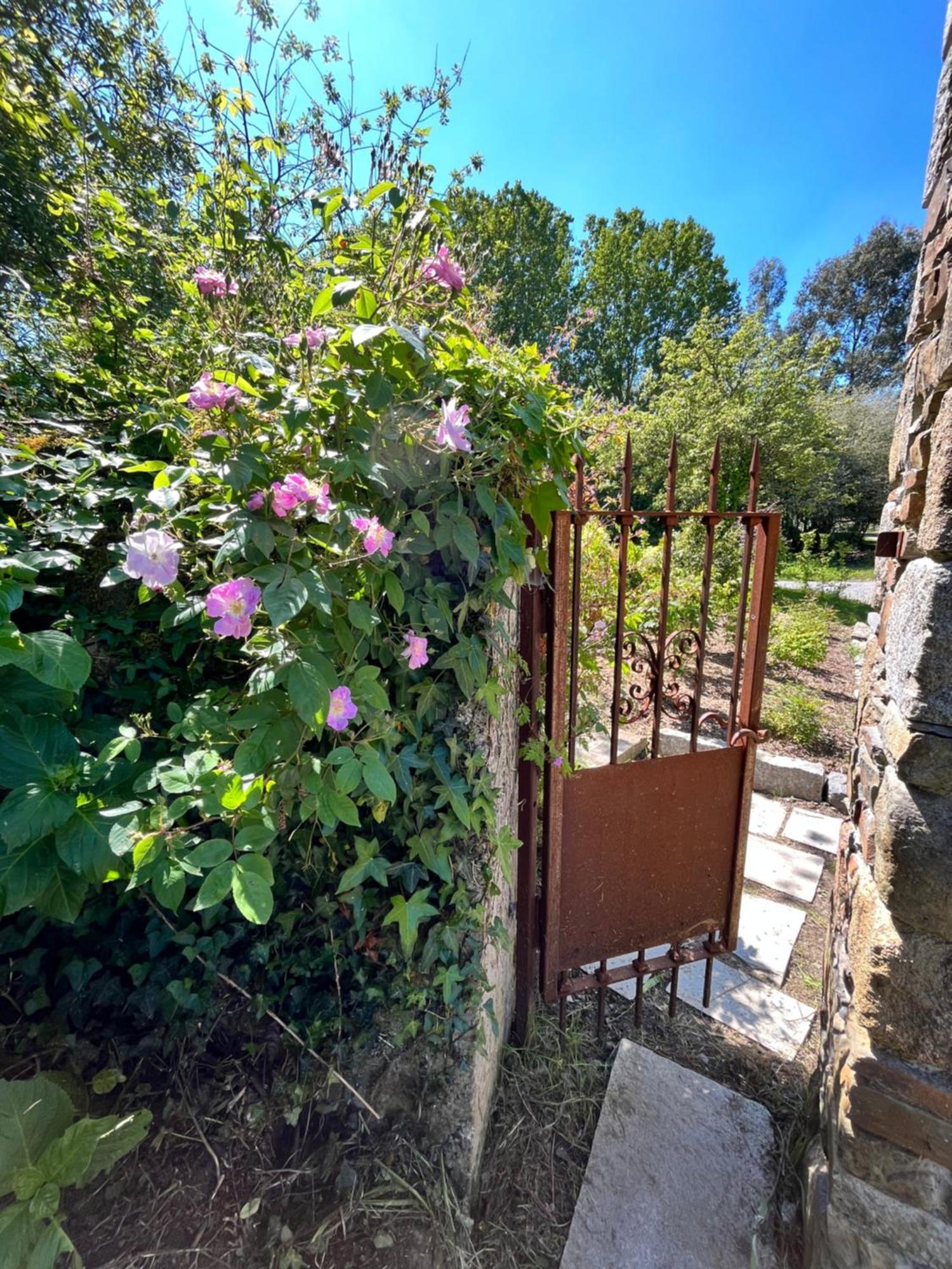 Domaine Du Tertre Ychot Hotell Dol-de-Bretagne Eksteriør bilde