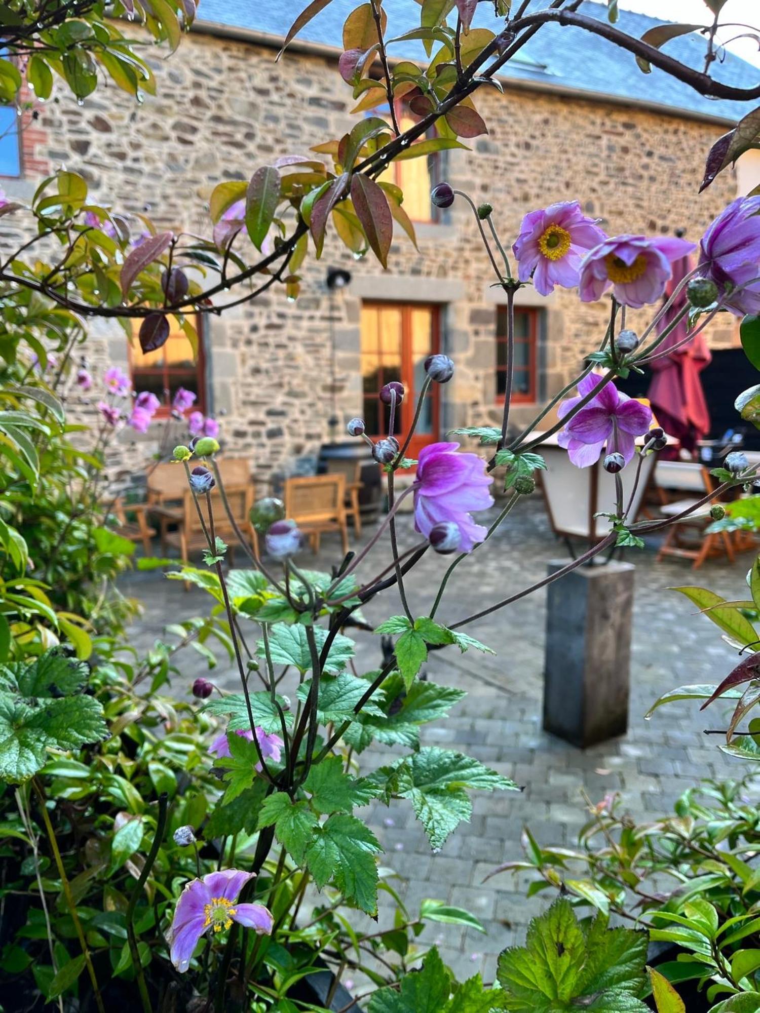 Domaine Du Tertre Ychot Hotell Dol-de-Bretagne Eksteriør bilde